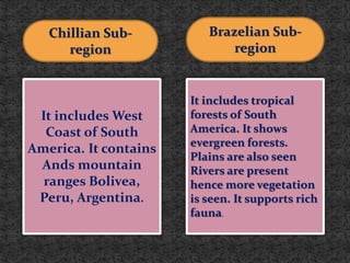 It includes West
Coast of South
America. It contains
Ands mountain
ranges Bolivea,
Peru, Argentina.
It includes tropical
forests of South
America. It shows
evergreen forests.
Plains are also seen
Rivers are present
hence more vegetation
is seen. It supports rich
fauna.
Chillian Sub-
region
Brazelian Sub-
region
 