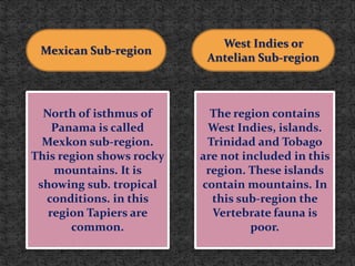 Mexican Sub-region
West Indies or
Antelian Sub-region
North of isthmus of
Panama is called
Mexkon sub-region.
This region shows rocky
mountains. It is
showing sub. tropical
conditions. in this
region Tapiers are
common.
The region contains
West Indies, islands.
Trinidad and Tobago
are not included in this
region. These islands
contain mountains. In
this sub-region the
Vertebrate fauna is
poor.
 
