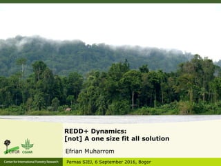 REDD+ Dynamics:
[not] A one size fit all solution
Efrian Muharrom
Pernas SIEJ, 6 September 2016, Bogor
 