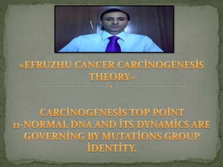 Efruzhu cancer carci̇nogenesi̇s theory»top poi̇nt 11