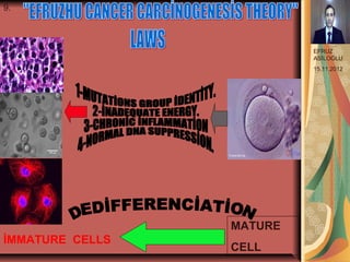 9.



                          EFRUZ
                          ASİLOĞLU
                          15.11.2012




.



                 MATURE
İMMATURE CELLS
                 CELL
 