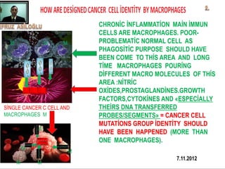 CHRONİC İNFLAMMATİON MAİN İMMUN
CELLS ARE MACROPHAGES. POOR-
PROBLEMATİC NORMAL CELL AS
PHAGOSİTİC PURPOSE SHOULD HAVE
BEEN COME TO THİS AREA AND LONG
TİME MACROPHAGES POURİNG
DİFFERENT MACRO MOLECULES OF THİS
AREA :NİTRİC
OXİDES,PROSTAGLANDİNES.GROWTH
FACTORS,CYTOKİNES AND «ESPECİALLY
THEİRS DNA TRANSFERRED
PROBES/SEGMENTS» = CANCER CELL
MUTATİONS GROUP İDENTİTY SHOULD
HAVE BEEN HAPPENED (MORE THAN
ONE MACROPHAGES).
M M M
M
MM
M
M
C
C
SİNGLE CANCER C CELL AND
MACROPHAGES M
 