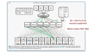 R2 = 58.6 % of Gf
variance explained
White matterGtGf
 
