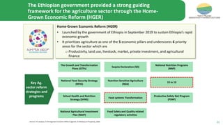 Food system: The case of Ethiopian food systems transformation (EFS) development
