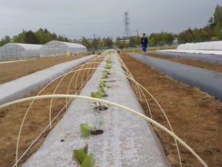 エフスタ!!HOKKAIDO エンジニアが この先 生き残るには