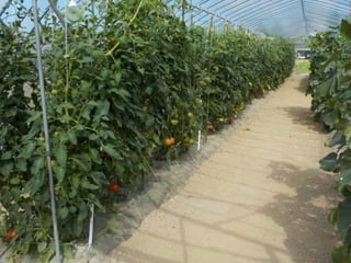 エフスタ!!HOKKAIDO エンジニアが この先 生き残るには