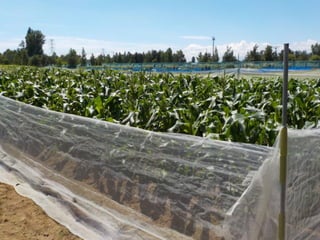 エフスタ!!HOKKAIDO エンジニアが この先 生き残るには