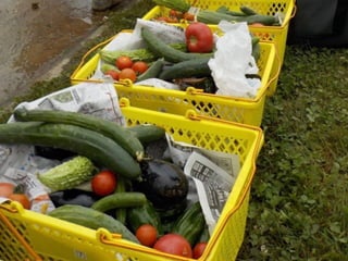 エフスタ!!HOKKAIDO エンジニアが この先 生き残るには