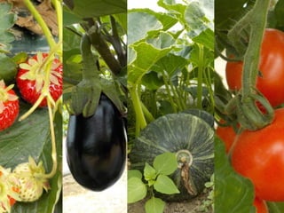 エフスタ!!HOKKAIDO エンジニアが この先 生き残るには