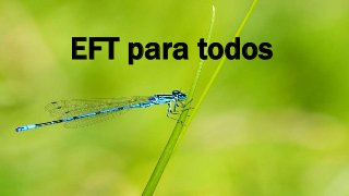 EFT para todos
 
