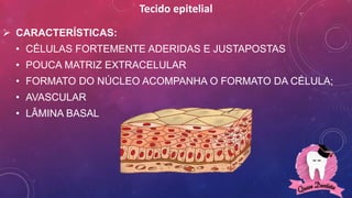 Tecido epitelial
 CARACTERÍSTICAS:
• CÉLULAS FORTEMENTE ADERIDAS E JUSTAPOSTAS
• POUCA MATRIZ EXTRACELULAR
• FORMATO DO NÚCLEO ACOMPANHA O FORMATO DA CÉLULA;
• AVASCULAR
• LÂMINA BASAL
 