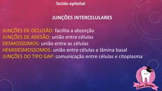 JUNÇÕES INTERCELULARES
JUNÇÕES DE OCLUSÃO: facilita a absorção
JUNÇÕES DE ADESÃO: união entre células
DESMOSSOMOS: união entre as células
HEMIDESMOSSOMOS: união entre células e lâmina basal
JUNÇÕES DO TIPO GAP: comunicação entre células e citoplasma
Tecido epitelial
 