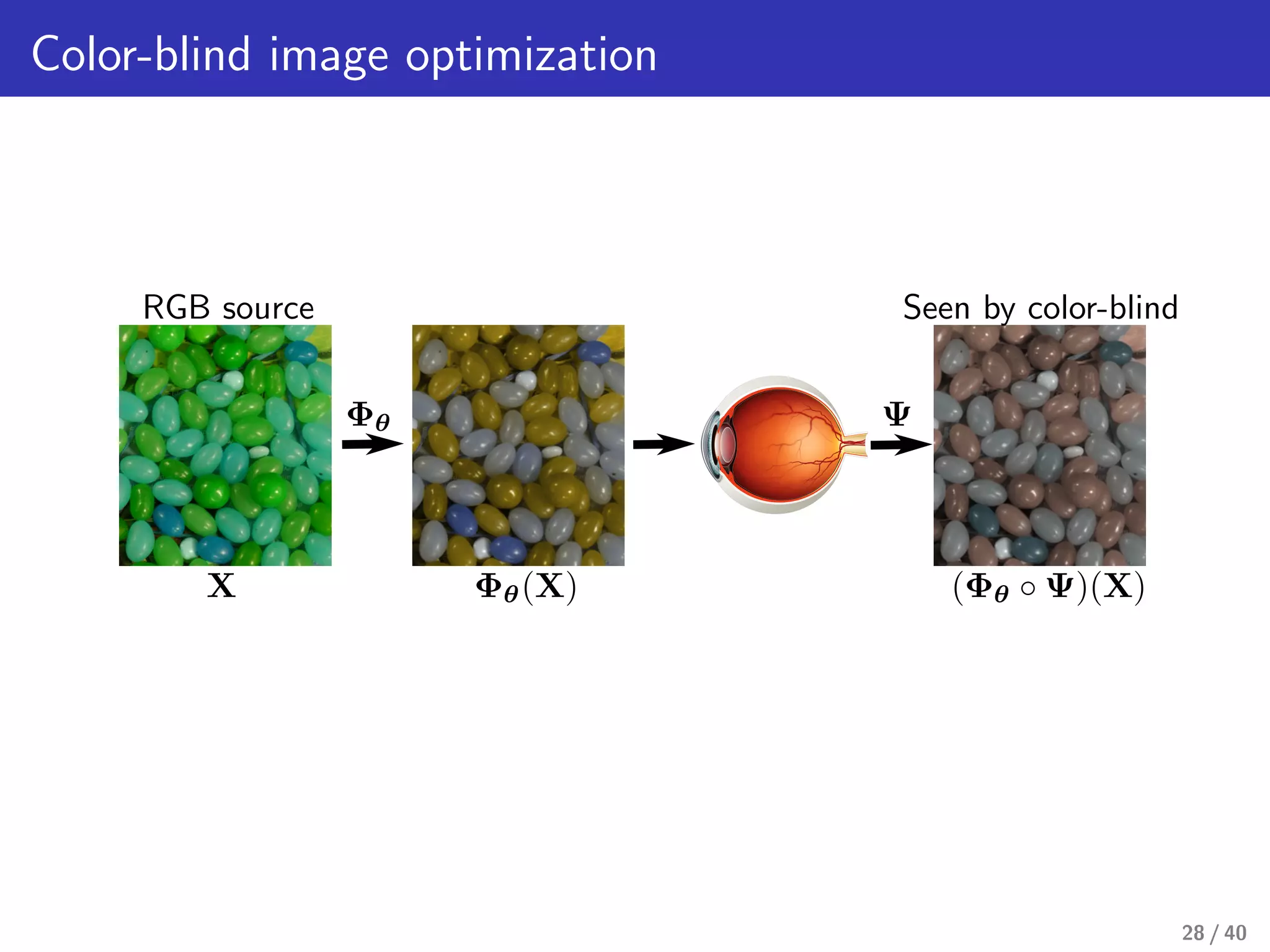 Color-blind image optimization
RGB source
X Φθ(X)
Ψ
Seen by color-blind
Φθ
(Φθ ◦ Ψ)(X)
28 / 40
 
