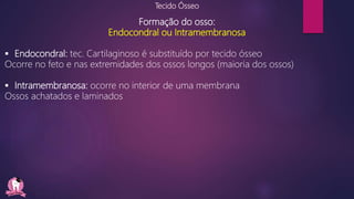 Tecido Ósseo
Formação do osso:
Endocondral ou Intramembranosa
 Endocondral: tec. Cartilaginoso é substituído por tecido ósseo
Ocorre no feto e nas extremidades dos ossos longos (maioria dos ossos)
 Intramembranosa: ocorre no interior de uma membrana
Ossos achatados e laminados
 