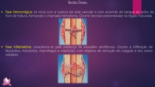 Tecido Ósseo
 Fase Hemorrágica: se inicia com a ruptura da rede vascular e com acumulo de sangue ao redor do
foco de fratura, formando o chamado hematoma. Ocorre necrose osteomedular na região fraturada.
 Fase Inflamatória: caracteriza-se pela presença de exsudato serofibroso. Ocorre a infiltração de
leucócitos, monócitos, macrófagos e mastócito; com objetivo de remoção do coágulo e dos restos
celulares.
 