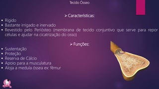 Tecido Ósseo
Características:
 Rígido
 Bastante irrigado e inervado
 Revestido pelo Periósteo (membrana de tecido conjuntivo que serve para repor
células e ajudar na cicatrização do osso)
Funções:
 Sustentação
 Proteção
 Reserva de Cálcio
 Apoio para a musculatura
 Aloja a medula óssea ex: fêmur
 