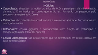 Tecido Ósseo
Células:
 Osteoblastos: sintetizam a região orgânica da M.O e participam da mineralização
da matriz. Encontrados em ossos que estão em formação ou passando pelo
processo de regeneração óssea
 Osteócitos: são osteoblastos amadurecidos e em menor atividade. Encontrados em
ossos já formados
 Osteoclastos: células gigantes e polinucleadas, com função de reabsorção e
remodelação óssea (50 a 100 núcleos)
 Células Osteogênicas: são células trocos que se diferenciam em células ósseas em
caso de necessidade.
 