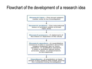 Flowchart of the development of a research idea
 