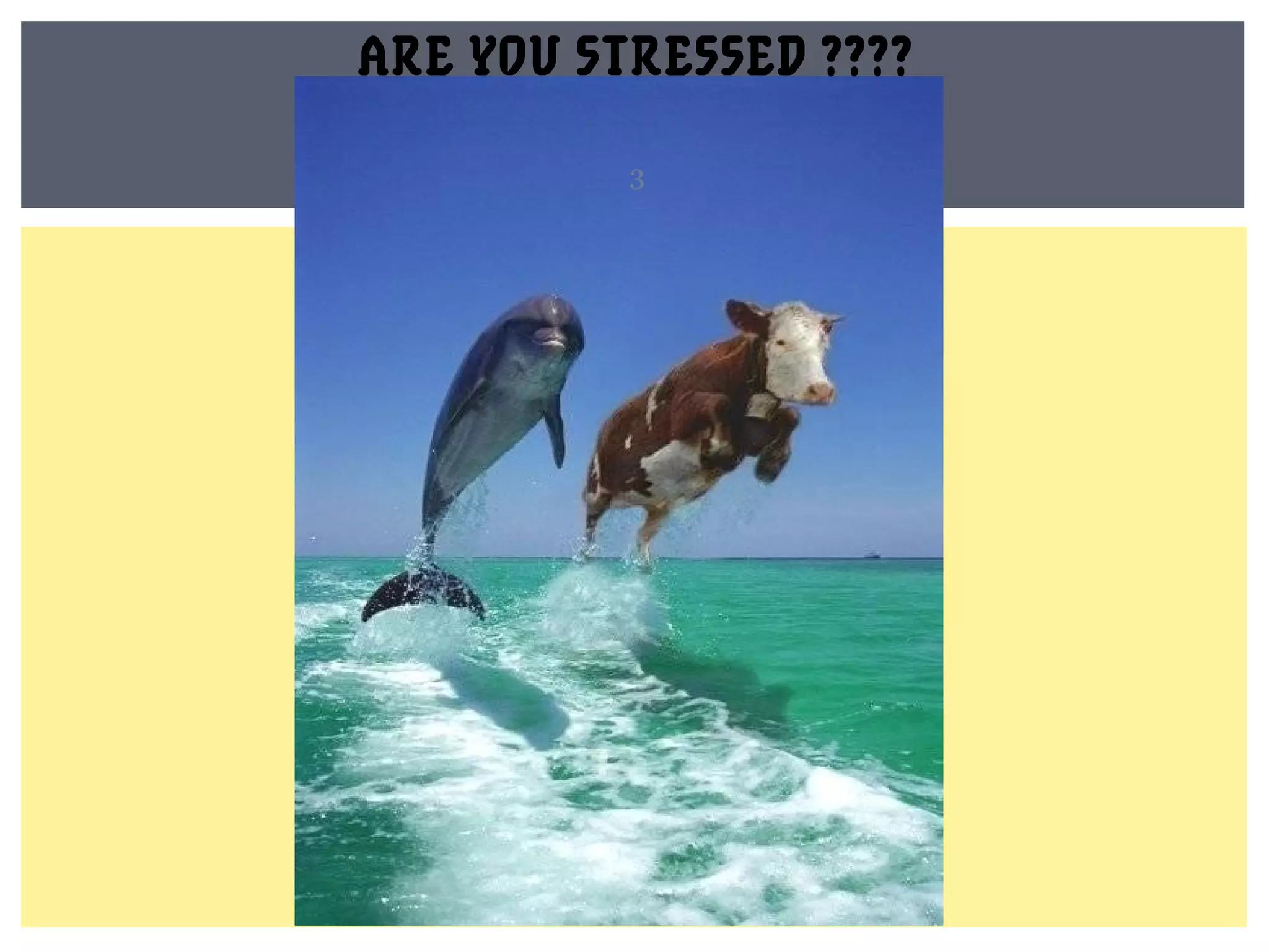 ARE YOU STRESSED ???? 
3 
 