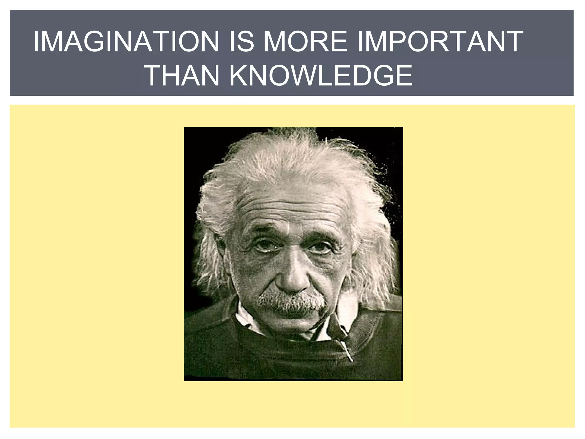 IMAGINATION IS MORE IMPORTANT 
THAN KNOWLEDGE 
 