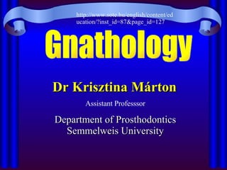 Gnathology Dr Krisztina Márton   Assistant Professsor Department of Prosthodontics Semmelweis University http://www.sote.hu/english/content/education/?inst_id=87&page_id=127 