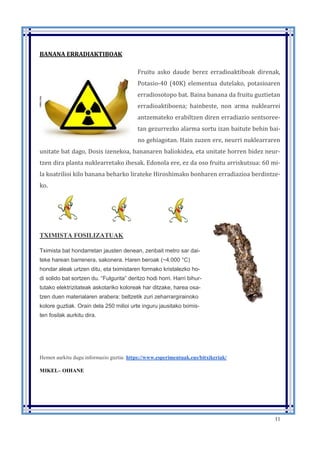 11
BANANA ERRADIAKTIBOAK
Fruitu asko daude berez erradioaktiboak direnak,
Potasio-40 (40K) elementua dutelako, potasioaren
erradiosotopo bat. Baina banana da fruitu guztietan
erradioaktiboena; hainbeste, non arma nuklearrei
antzemateko erabiltzen diren erradiazio sentsoree-
tan gezurrezko alarma sortu izan baitute behin bai-
no gehiagotan. Hain zuzen ere, neurri nuklearraren
unitate bat dago, Dosis izenekoa, bananaren baliokidea, eta unitate horren bidez neur-
tzen dira planta nuklearretako ihesak. Edonola ere, ez da oso fruitu arriskutsua: 60 mi-
la koatrilioi kilo banana beharko lirateke Hiroshimako bonbaren erradiazioa berdintze-
ko.
TXIMISTA FOSILIZATUAK
Tximista bat hondarretan jausten denean, zenbait metro sar dai-
teke harean barrenera, sakonera. Haren beroak (~4.000 °C)
hondar aleak urtzen ditu, eta tximistaren formako kristalezko ho-
di solido bat sortzen du. “Fulgurita” deritzo hodi horri. Harri bihur-
tutako elektrizitateak askotariko koloreak har ditzake, harea osa-
tzen duen materialaren arabera: beltzetik zuri zeharrargirainoko
kolore guztiak. Orain dela 250 milioi urte inguru jausitako tximis-
ten fosilak aurkitu dira.
Hemen aurkitu dugu informazio guztia: https://www.esperimentuak.eus/bitxikeriak/
MIKEL– OIHANE
 