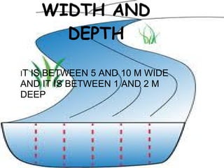 WIDTH AND
DEPTH
IT IS BETWEEN 5 AND 10 M WIDE
AND IT IS BETWEEN 1 AND 2 M
DEEP
 
