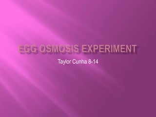 Taylor Cunha 8-14
 