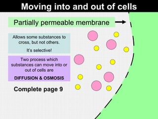 Moving into and out of cells Partially permeable membrane Allows some substances to cross, but not others. It’s selective! Two process which substances can move into or out of cells are DIFFUSION & OSMOSIS Complete page 9   