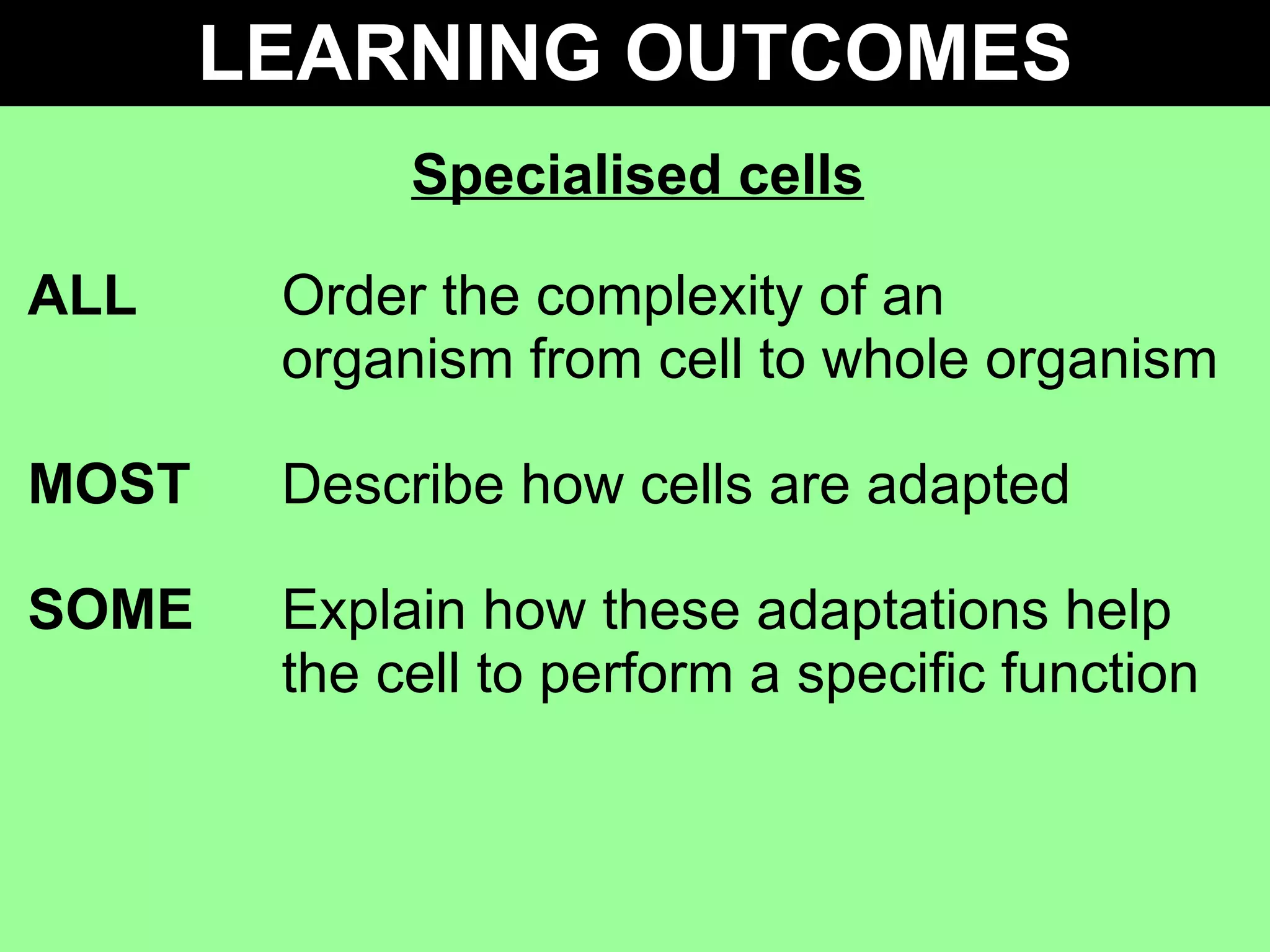 Specialised cells ALL Order the complexity of an  organism from cell to whole organism MOST Describe how cells are adapted SOME   Explain how these adaptations help  the cell to perform a specific function LEARNING OUTCOMES 