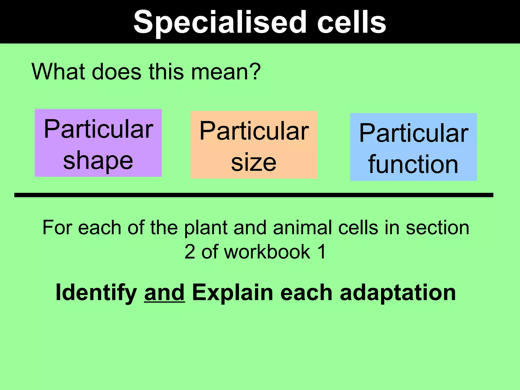 Specialised cells What does this mean? Particular shape Particular size Particular function For each of the plant and animal cells in section 2 of workbook 1 Identify  and  Explain each adaptation 