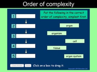 Order of complexity 