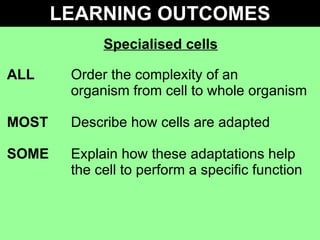 Specialised cells ALL Order the complexity of an  organism from cell to whole organism MOST Describe how cells are adapted SOME   Explain how these adaptations help  the cell to perform a specific function LEARNING OUTCOMES 