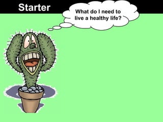 Starter What do I need to live a healthy life? 