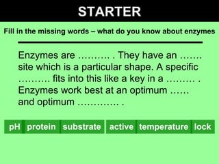STARTER Fill in the missing words – what do you know about enzymes Enzymes are ………. . They have an ……. site which is a particular shape. A specific ………. fits into this like a key in a ……… . Enzymes work best at an optimum …… and optimum …………. .  pH protein substrate active temperature lock 