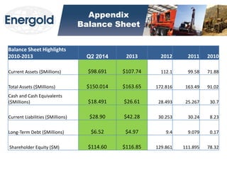 Appendix Balance Sheet 
Balance Sheet Highlights 2010-2013 
Q2 2014 
2013 
2012 
2011 
2010 
Current Assets ($Millions) 
$98.691 
$107.74 
112.1 
99.58 
71.88 
Total Assets ($Millions) 
$150.014 
$163.65 
172.816 
163.49 
91.02 
Cash and Cash Equivalents ($Millions) 
$18.491 
$26.61 
28.493 
25.267 
30.7 
Current Liabilities ($Millions) 
$28.90 
$42.28 
30.253 
30.24 
8.23 
Long-Term Debt ($Millions) 
$6.52 
$4.97 
9.4 
9.079 
0.17 
Shareholder Equity ($M) 
$114.60 
$116.85 
129.861 
111.895 
78.32  