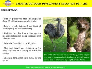 Dahanu Educational Tour (by Percy Jamshedwala) | PPS