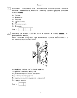 Последовательность систематических категорий характерных для царства Shtampik.co