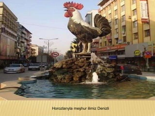 Horozlarıyla meşhur ilimiz Denizli