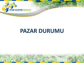 PAZAR DURUMU 