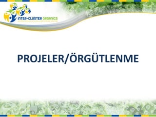 PROJELER/ÖRGÜTLENME 