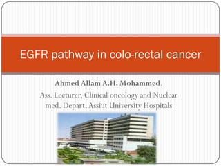 EGFR pathway in colo-rectal cancer

       Ahmed Allam A.H. Mohammed.
   Ass. Lecturer, Clinical oncology and Nuclear
    med. Depart. Assiut University Hospitals
 