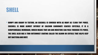 SHELL
• BUMPY AND GRAINY IN TEXTURE, AN EGGSHELL IS COVERED WITH AS MANY AS 17,000 TINY PORES.
EGGSHELL IS MADE ALMOST ENTIRELY OF CALCIUM CARBONATE (CACO3) CRYSTALS. IT IS A
SEMIPERMEABLE MEMBRANE, WHICH MEANS THAT AIR AND MOISTURE CAN PASS THROUGH ITS PORES.
THE SHELL ALSO HAS A THIN OUTERMOST COATING CALLED THE BLOOM OR CUTICLE THAT HELPS KEEP
OUT BACTERIA AND DUST.
 