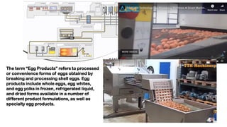 Egg processing - projects | PDF