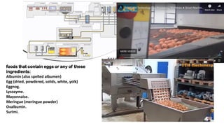 Egg processing - projects | PDF
