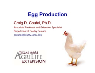 Egg Production
Craig D. Coufal, Ph.D.
Associate Professor and Extension Specialist
Department of Poultry Science
ccoufal@poultry.tamu.edu
 