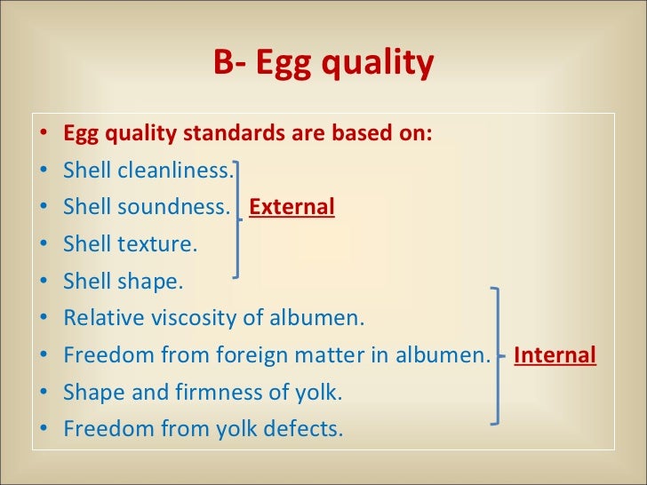 quality egg and Quality1 Egg quality egg and Quality1 Egg