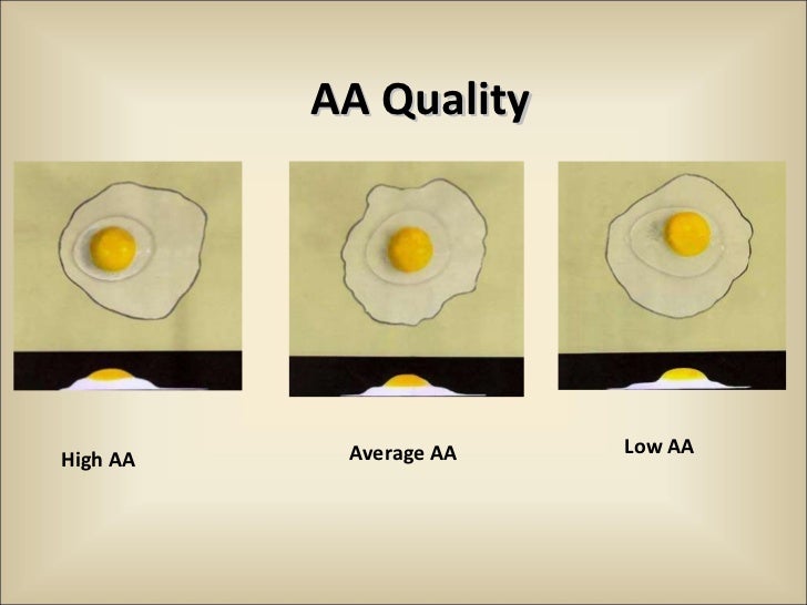 Egg Quality1