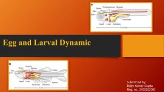 Egg and Larval Dynamic
Submitted by:
Bijay Kumar Gupta
Reg. no. 2102202003
 