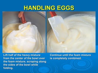 Egg basic